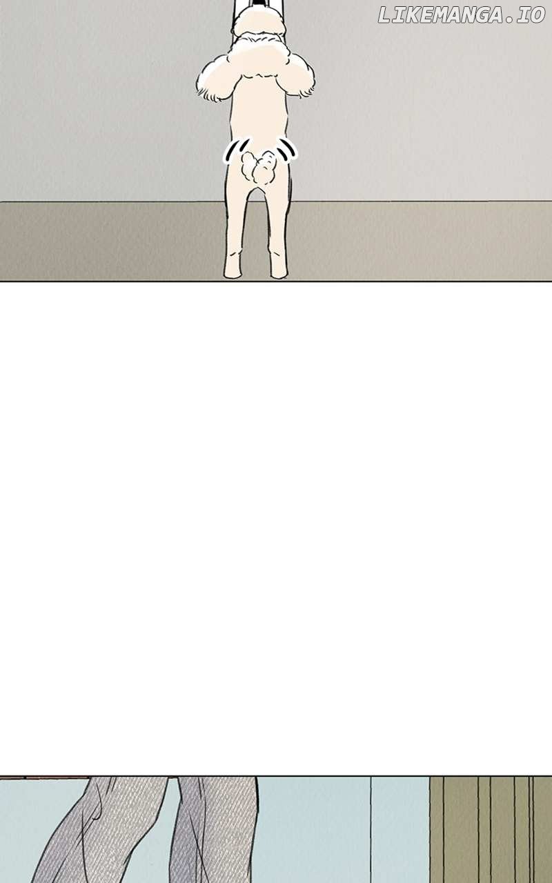 Want to See My Cat? Chapter 6 page 21