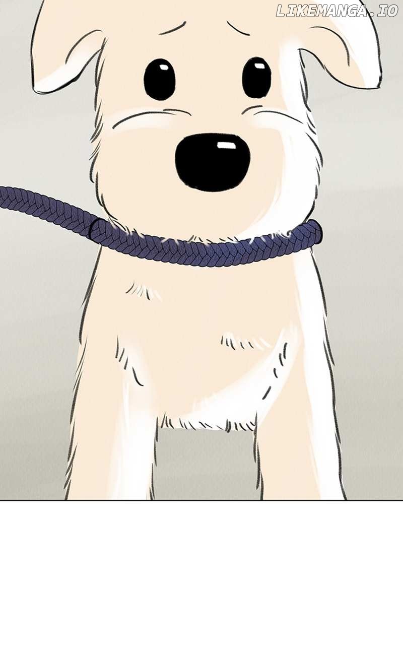 Want to See My Cat? Chapter 6 page 32