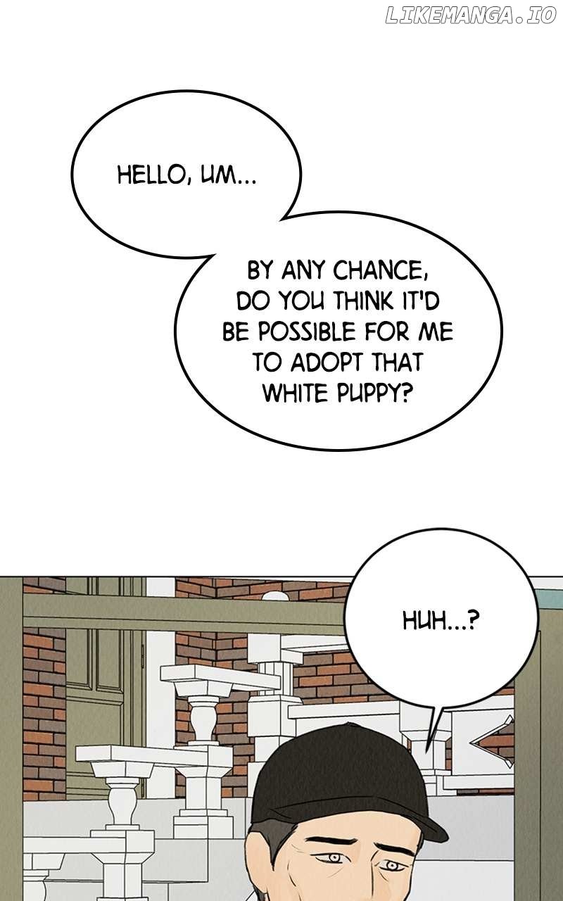 Want to See My Cat? Chapter 6 page 36