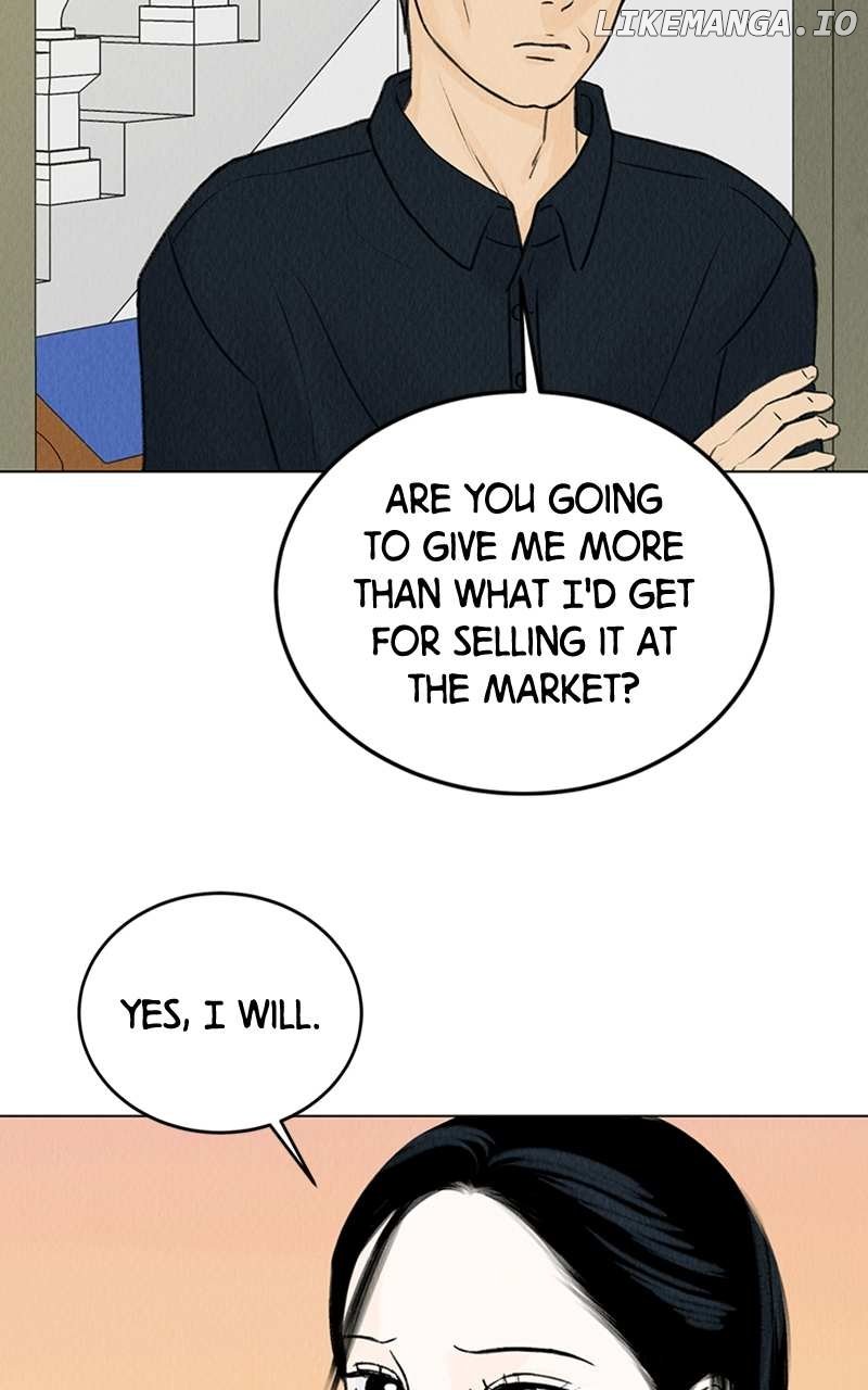 Want to See My Cat? Chapter 6 page 37