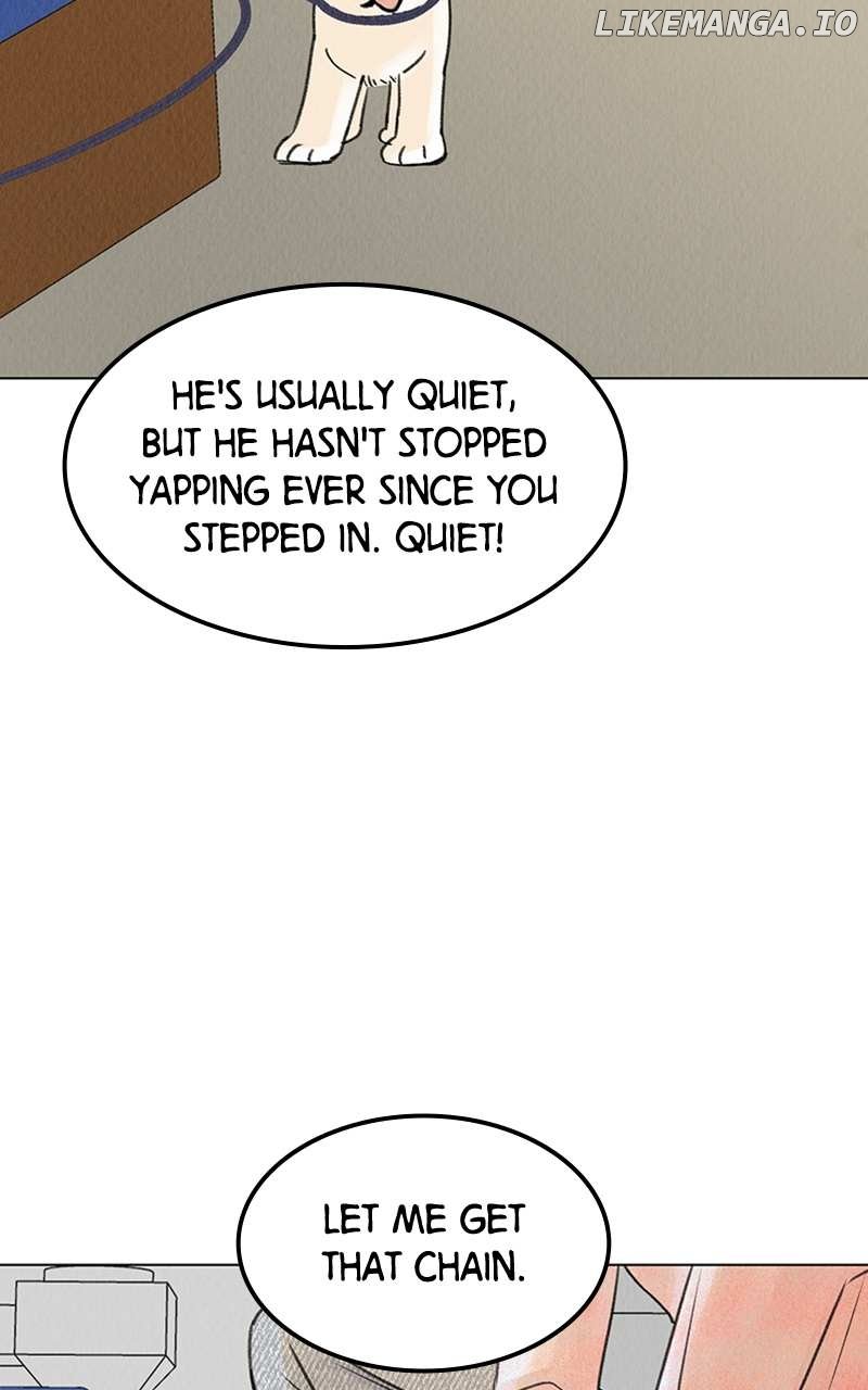 Want to See My Cat? Chapter 6 page 42