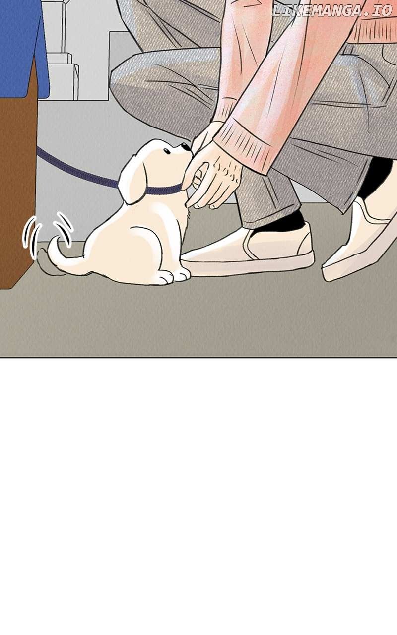 Want to See My Cat? Chapter 6 page 43