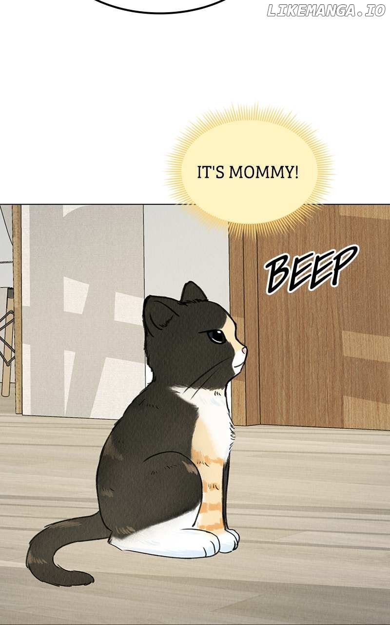 Want to See My Cat? Chapter 6 page 71