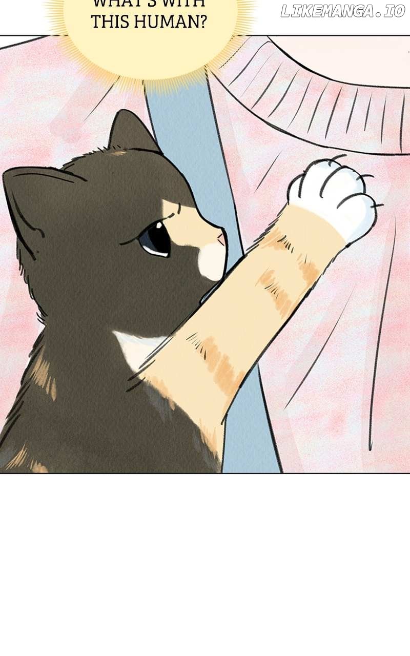 Want to See My Cat? Chapter 6 page 75