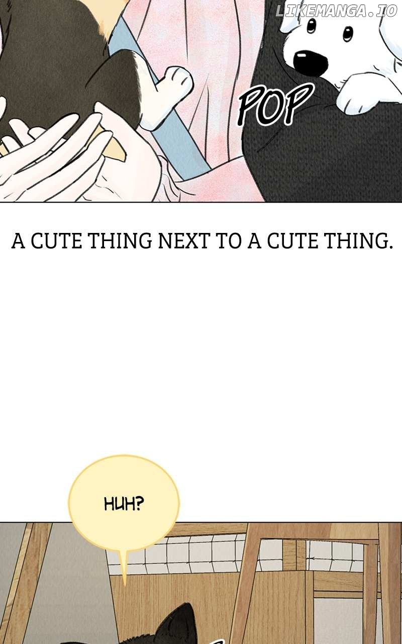 Want to See My Cat? Chapter 6 page 78