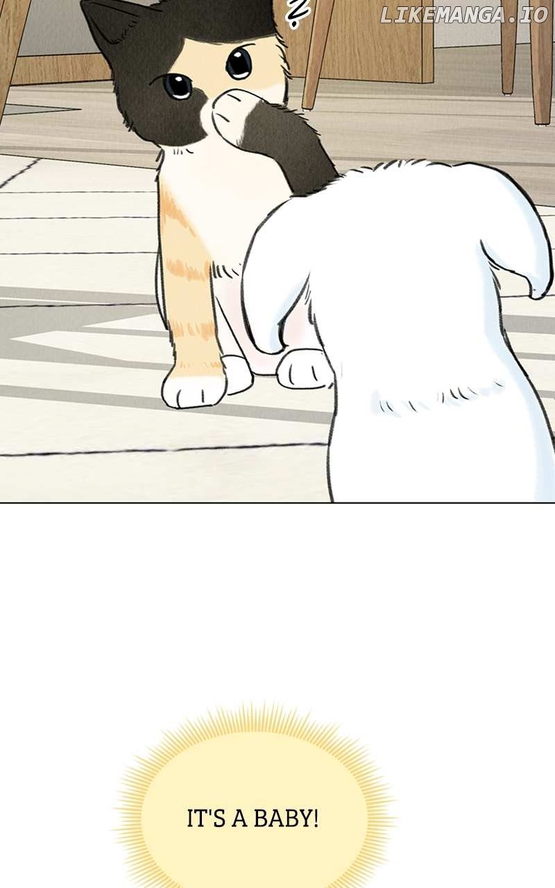 Want to See My Cat? Chapter 6 page 79