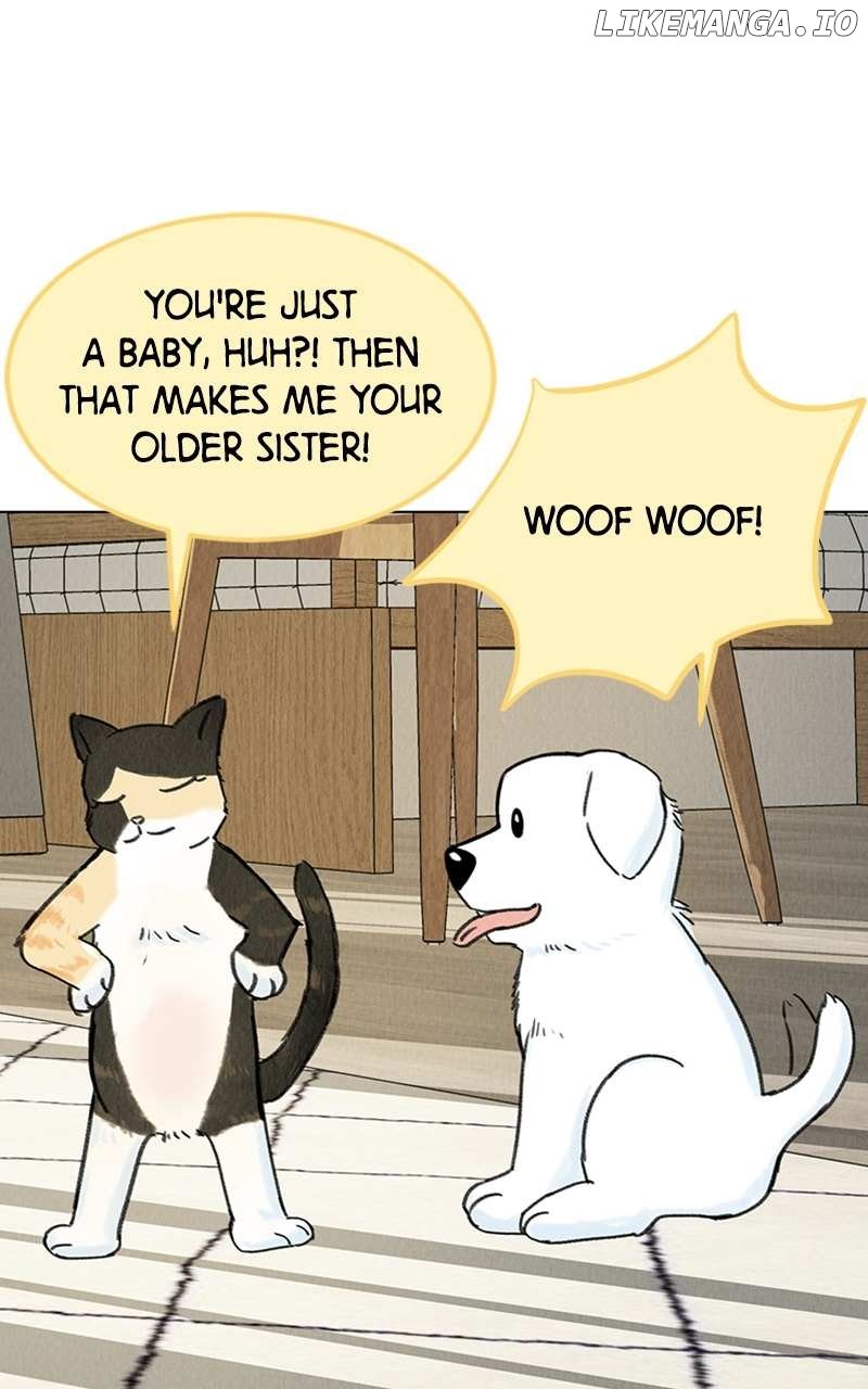 Want to See My Cat? Chapter 6 page 81