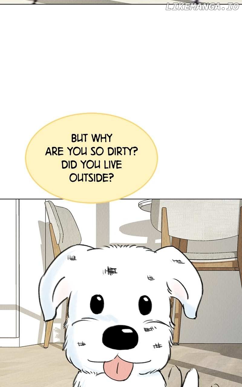 Want to See My Cat? Chapter 6 page 82