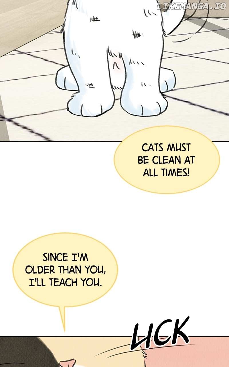 Want to See My Cat? Chapter 6 page 83