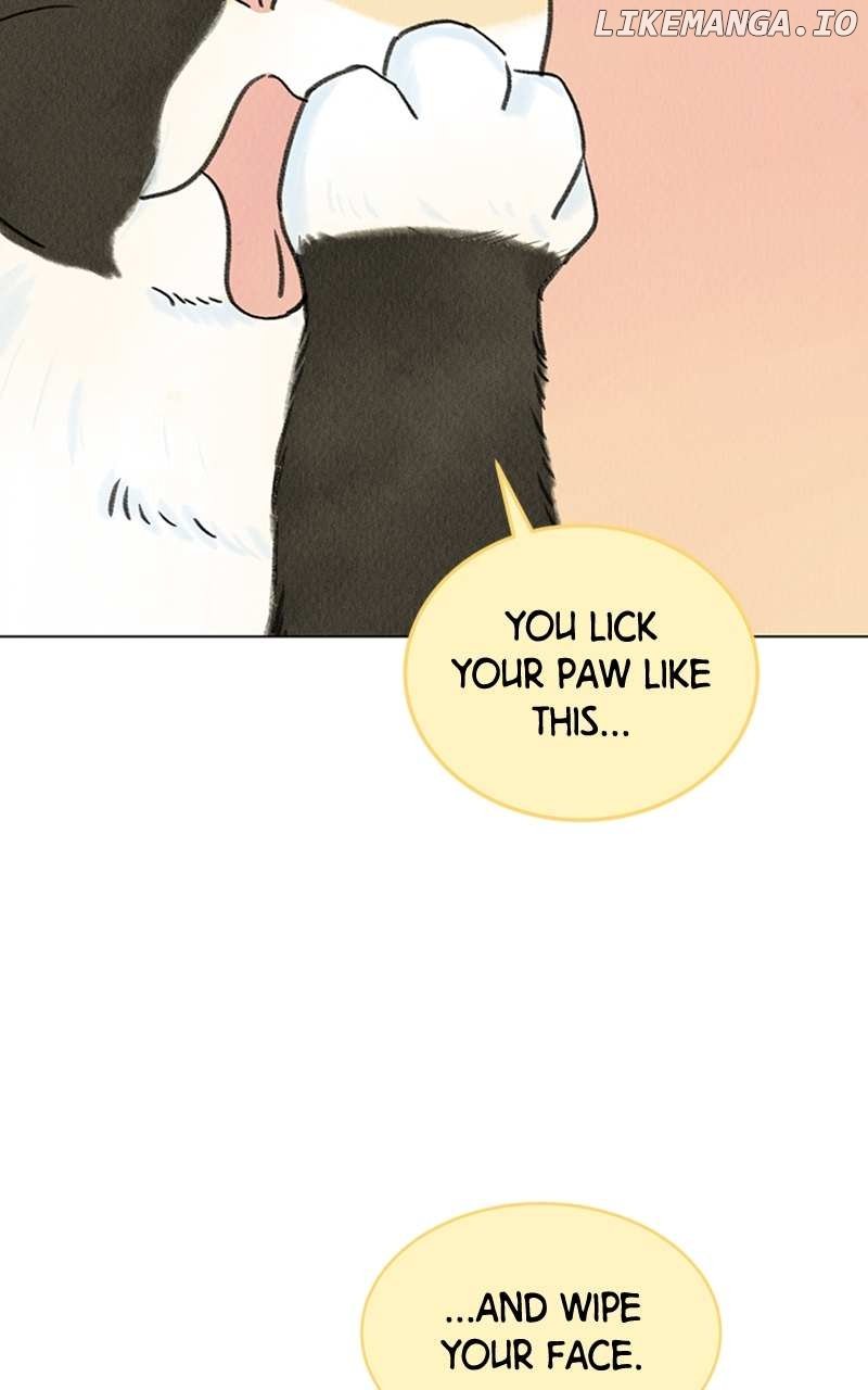 Want to See My Cat? Chapter 6 page 84
