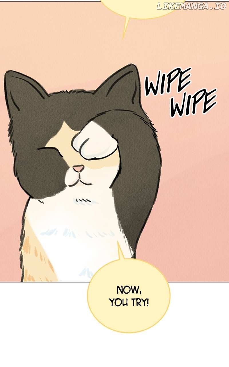 Want to See My Cat? Chapter 6 page 85