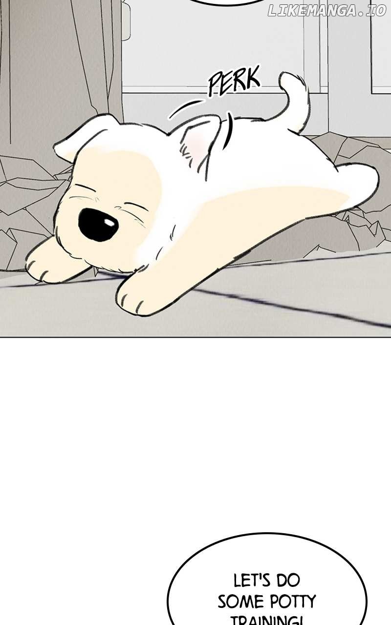 Want to See My Cat? Chapter 7 page 21