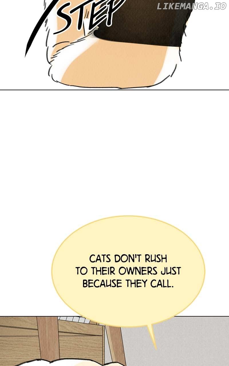 Want to See My Cat? Chapter 7 page 24