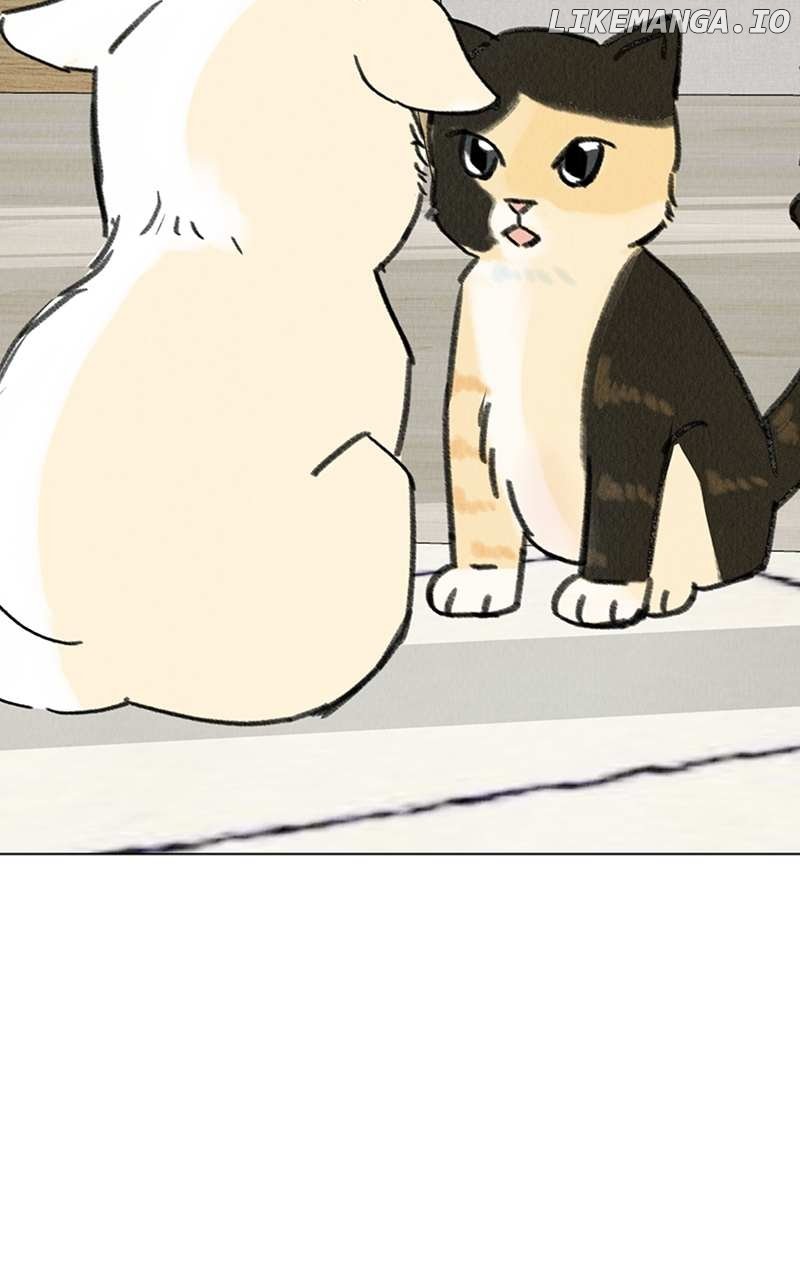 Want to See My Cat? Chapter 7 page 25