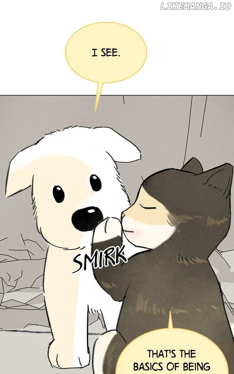 Want to See My Cat? Chapter 7 page 26