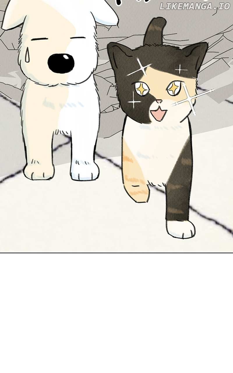 Want to See My Cat? Chapter 7 page 29