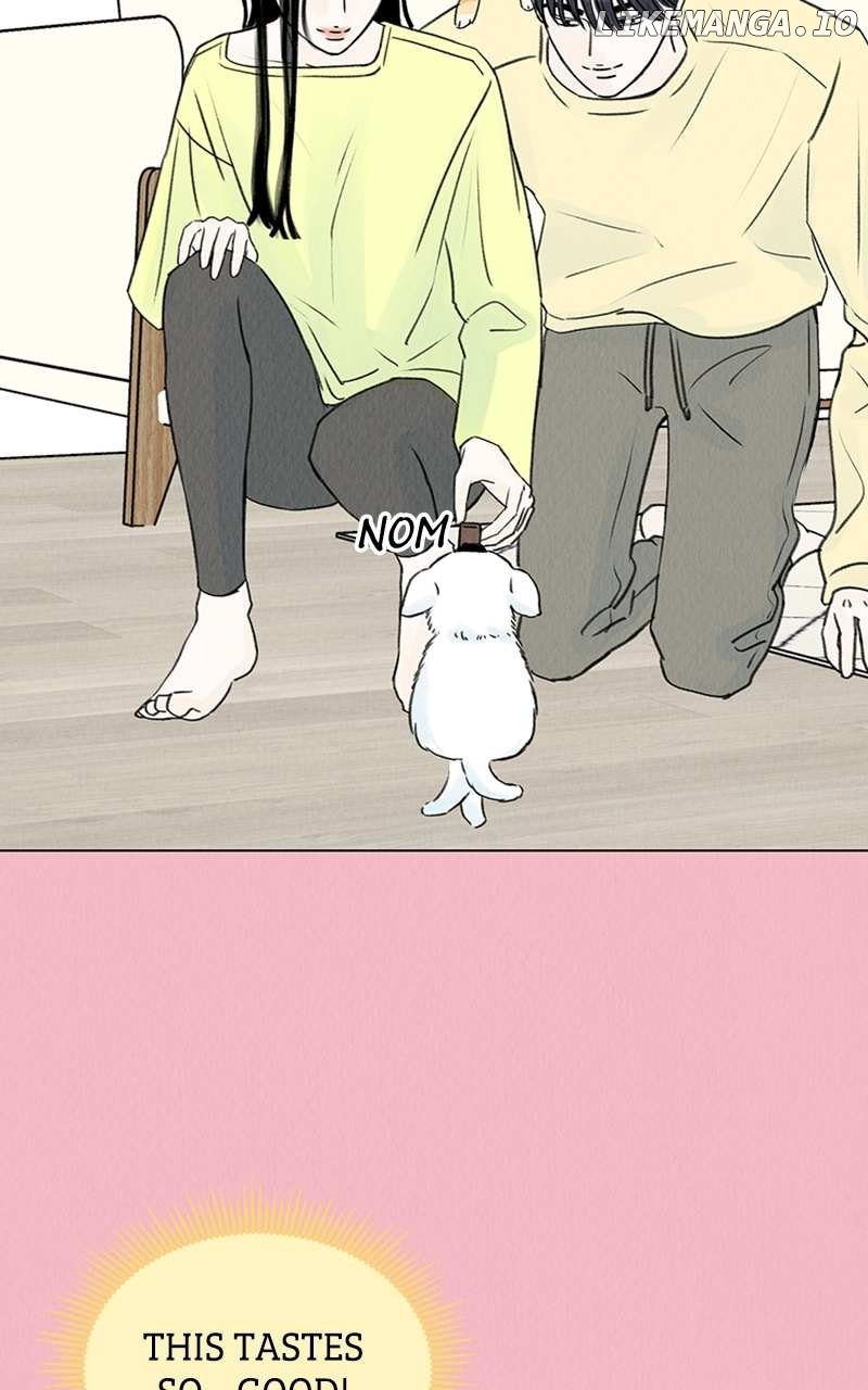 Want to See My Cat? Chapter 7 page 35