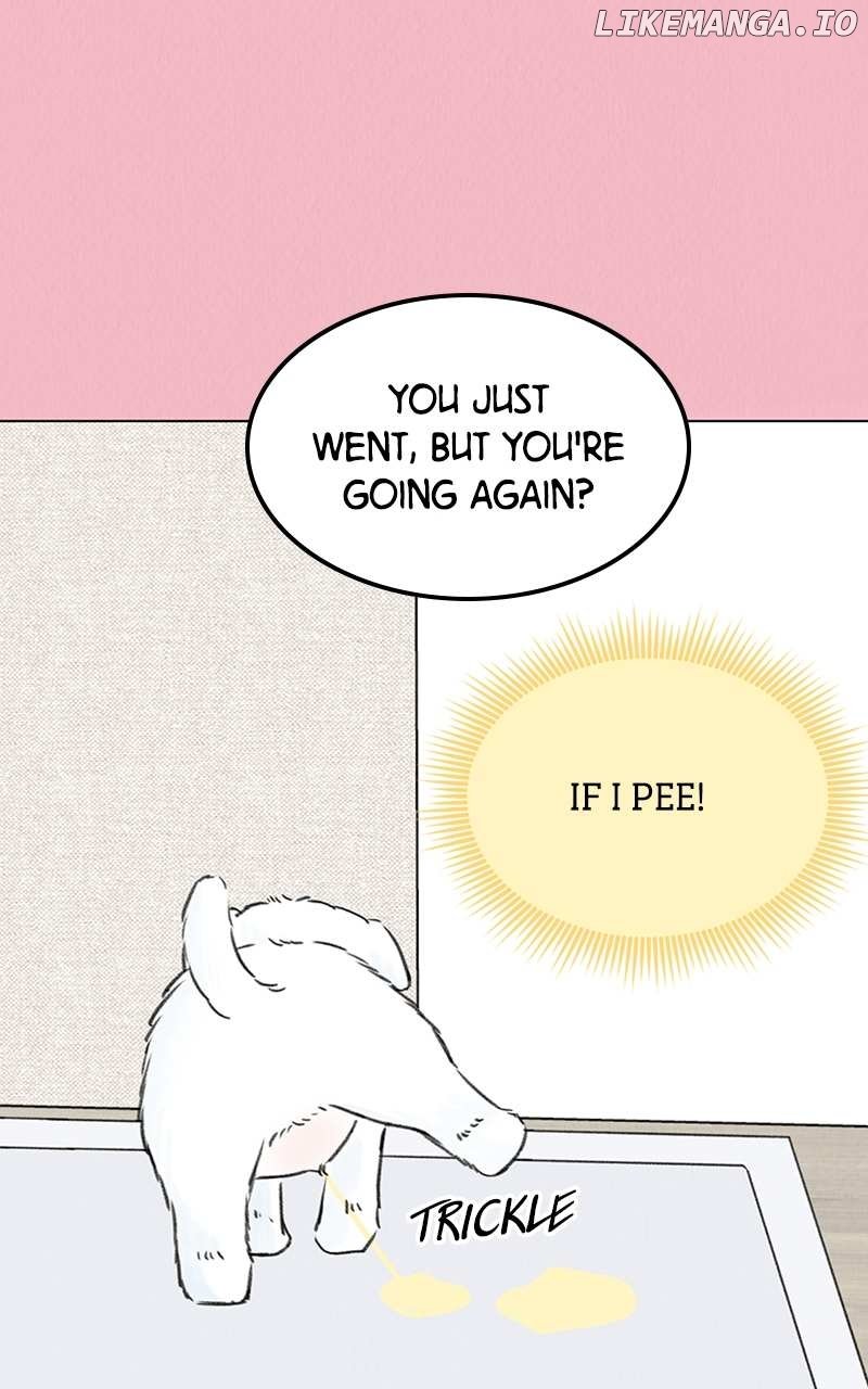 Want to See My Cat? Chapter 7 page 37