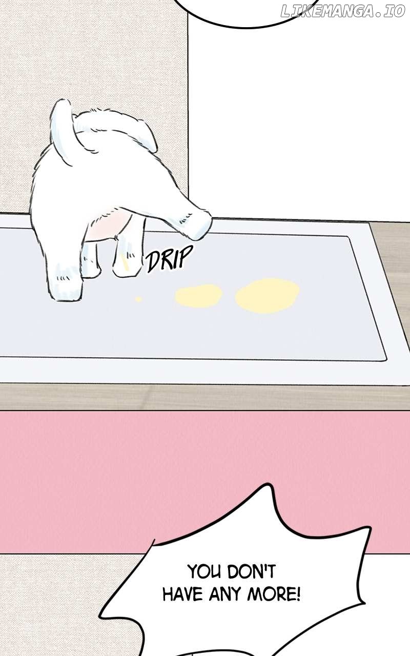 Want to See My Cat? Chapter 7 page 40