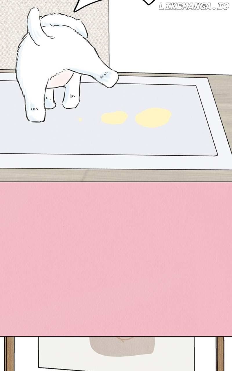 Want to See My Cat? Chapter 7 page 41