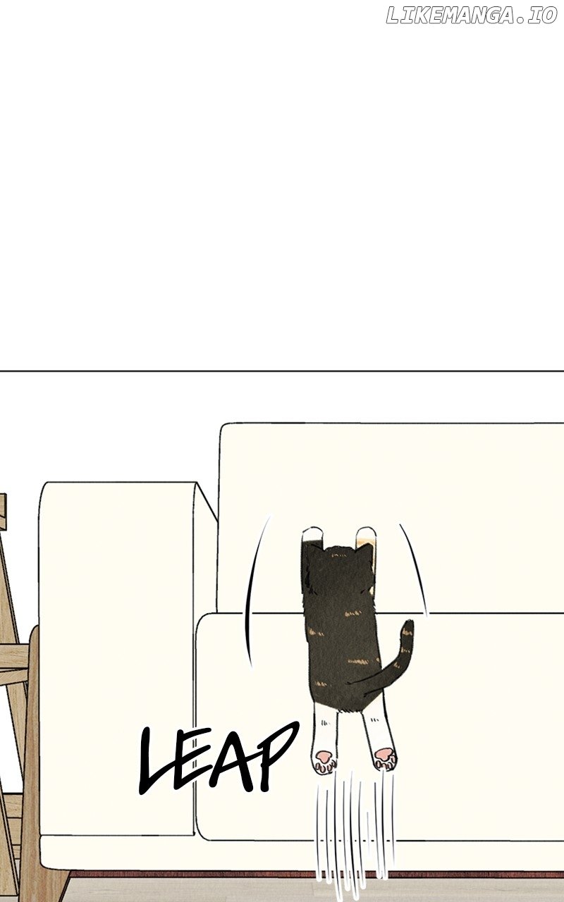 Want to See My Cat? Chapter 9 page 10