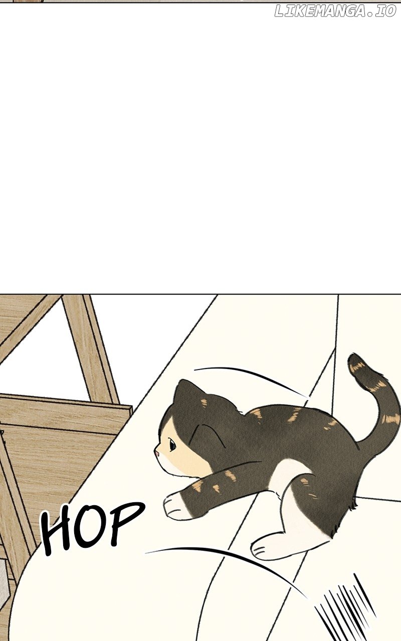 Want to See My Cat? Chapter 9 page 11
