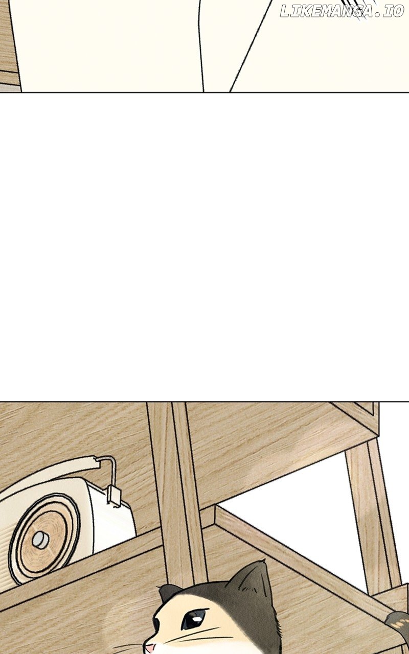 Want to See My Cat? Chapter 9 page 12