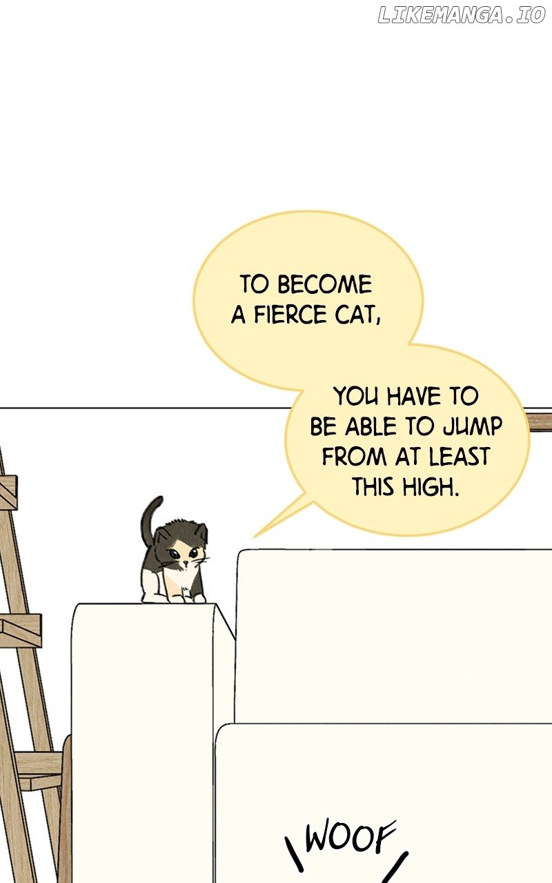 Want to See My Cat? Chapter 9 page 14