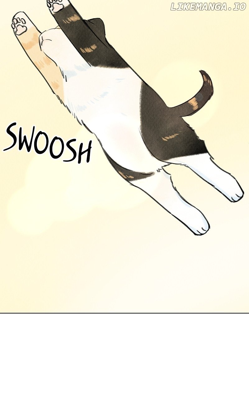 Want to See My Cat? Chapter 9 page 16