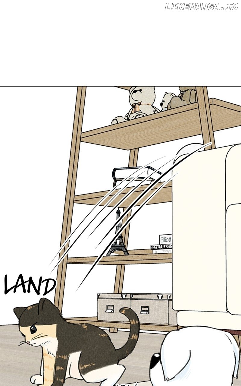 Want to See My Cat? Chapter 9 page 17