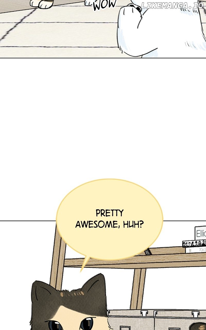 Want to See My Cat? Chapter 9 page 18