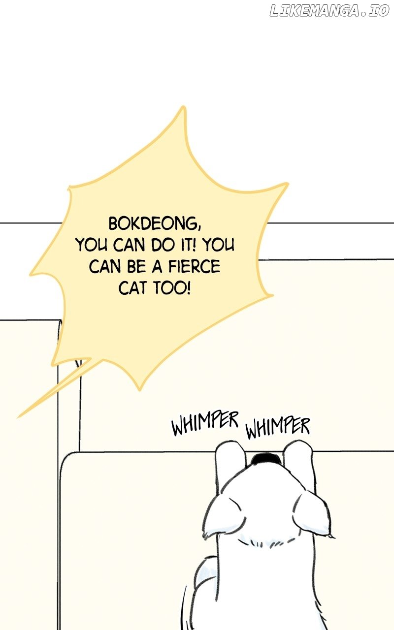 Want to See My Cat? Chapter 9 page 21