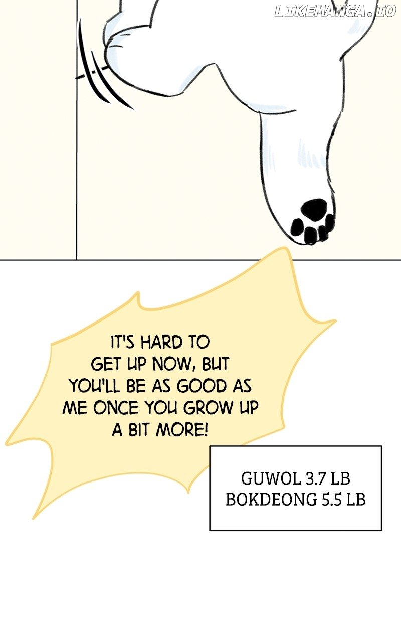 Want to See My Cat? Chapter 9 page 23
