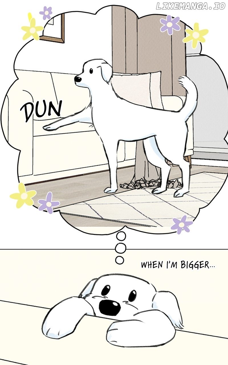 Want to See My Cat? Chapter 9 page 24