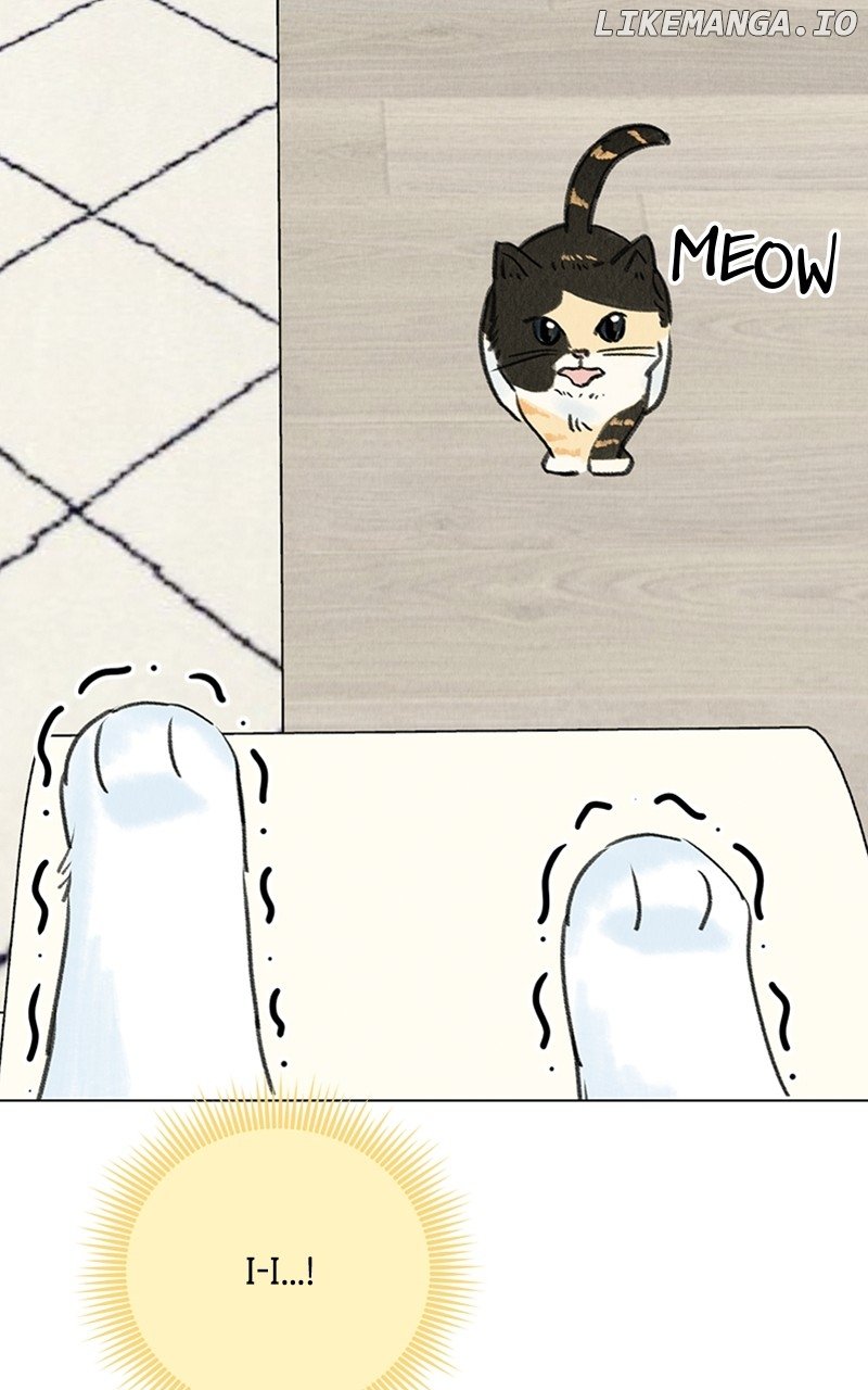 Want to See My Cat? Chapter 9 page 26