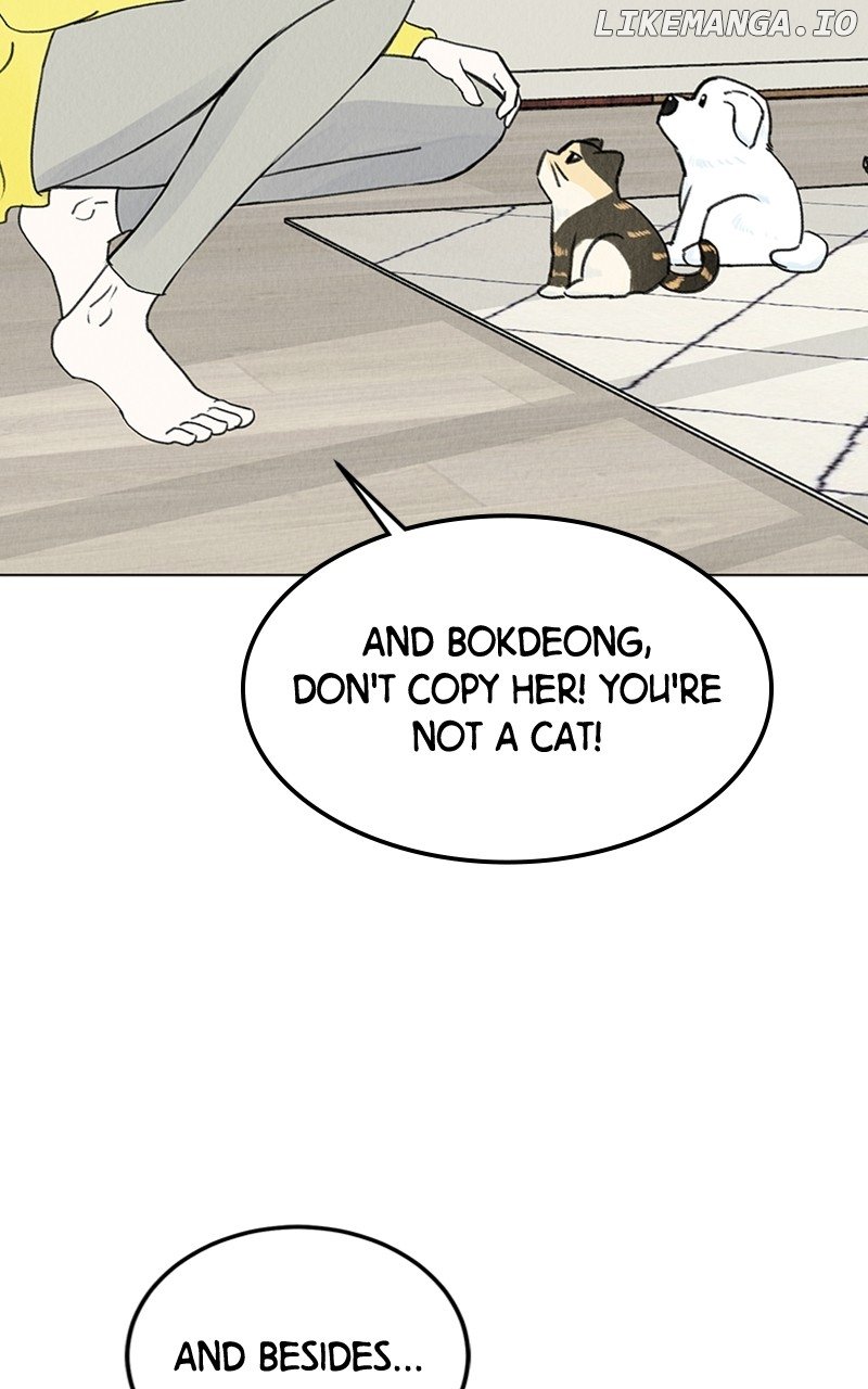 Want to See My Cat? Chapter 9 page 34