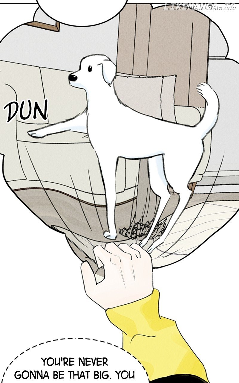 Want to See My Cat? Chapter 9 page 35