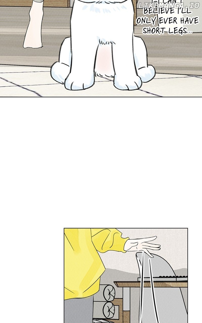 Want to See My Cat? Chapter 9 page 38
