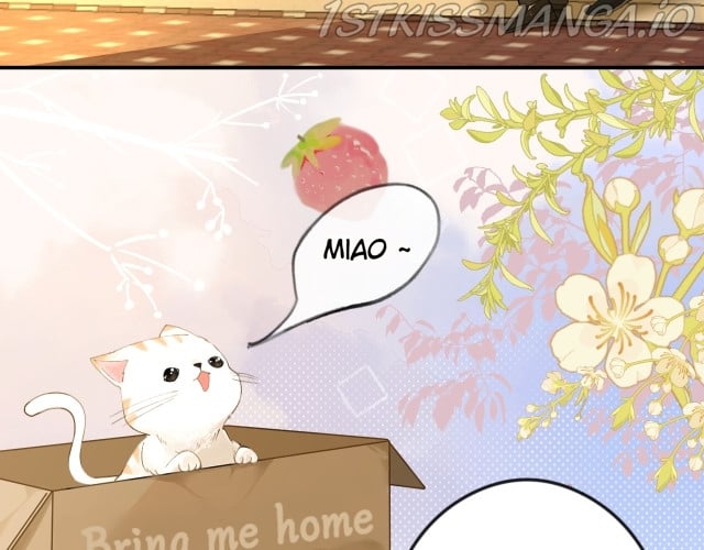 What Should I Do If I Found A Witch? Chapter 1 page 66