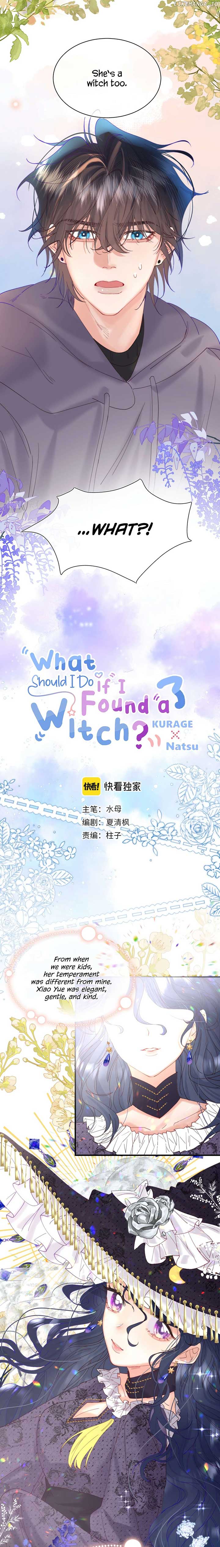 What Should I Do If I Found A Witch? Chapter 17 page 2