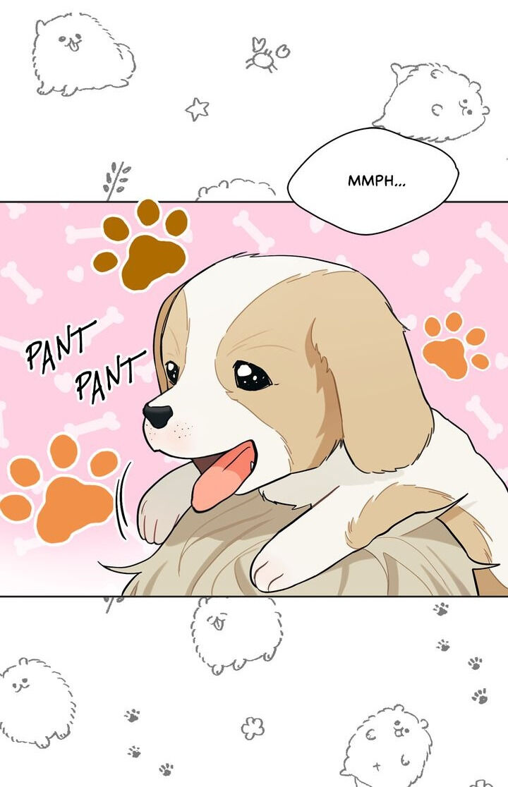 When You’re Targeted by the Bully Chapter 26 page 11