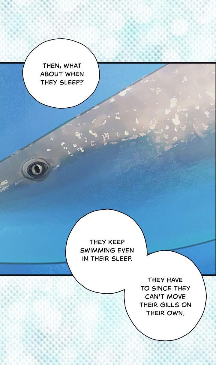 When You’re Targeted by the Bully Chapter 53 page 16