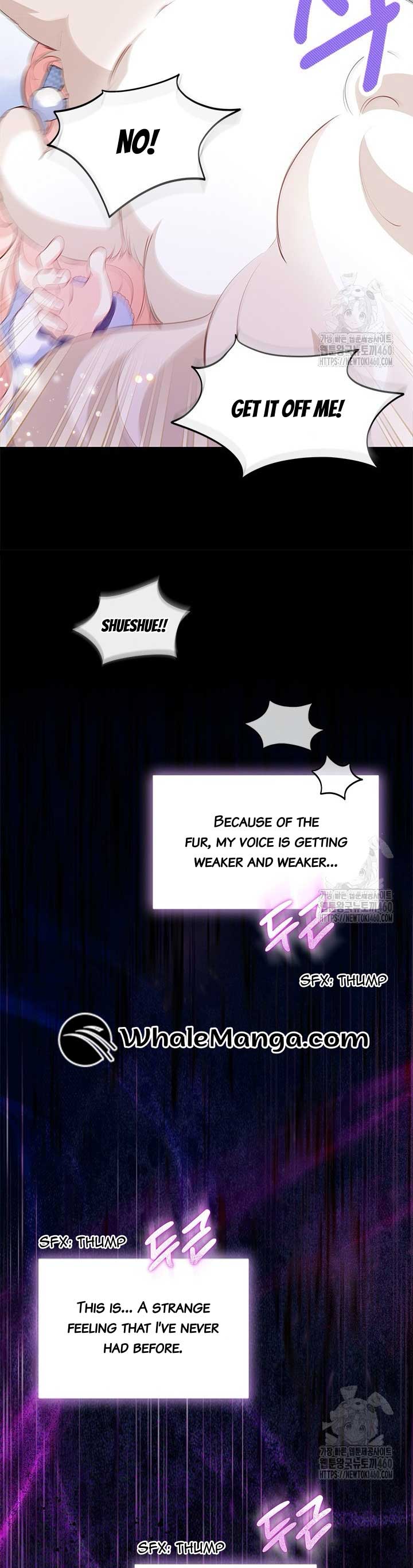 Why Are You Obsessed When I Reject Your Favor? Chapter 27 page 8