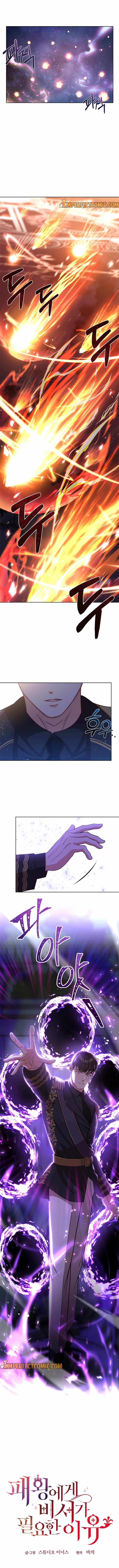 Why The King Needs A Secretary Chapter 41 page 10