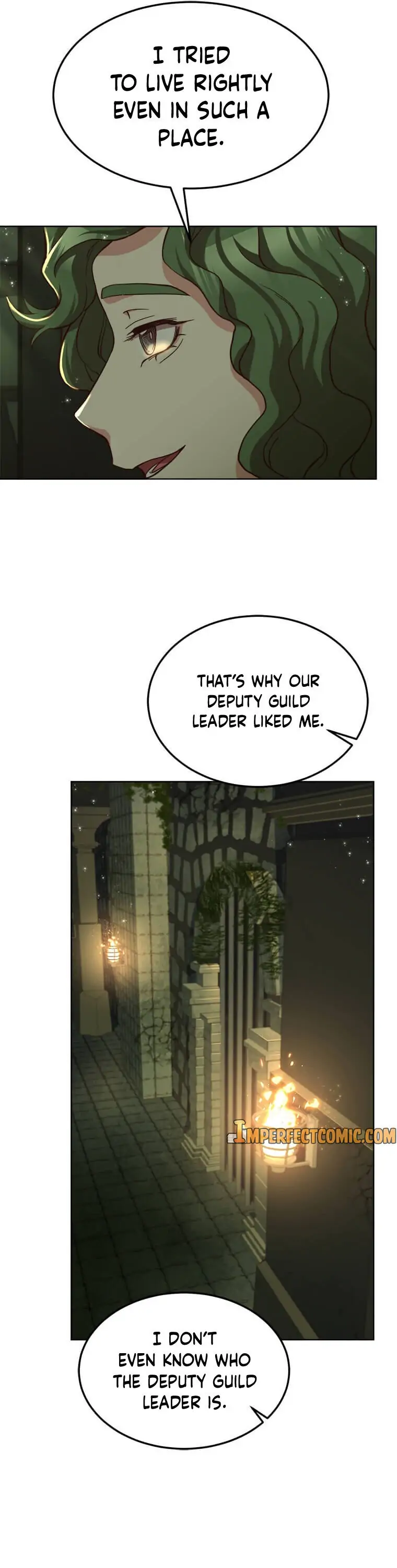 Why The King Needs A Secretary Chapter 49 page 17
