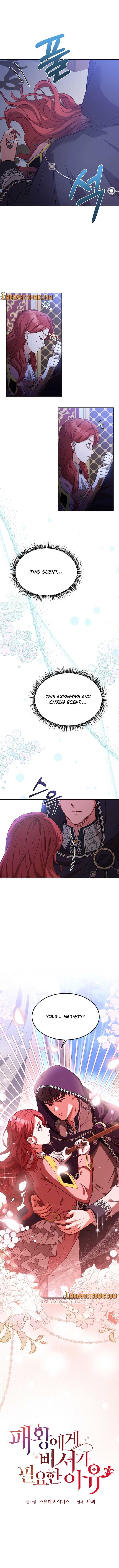 Why The King Needs A Secretary Chapter 56 page 4
